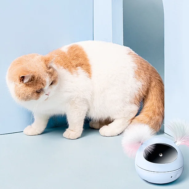 Infrared laser light pen cat laser toy cat toys teaser with feather automatic cat laser toy