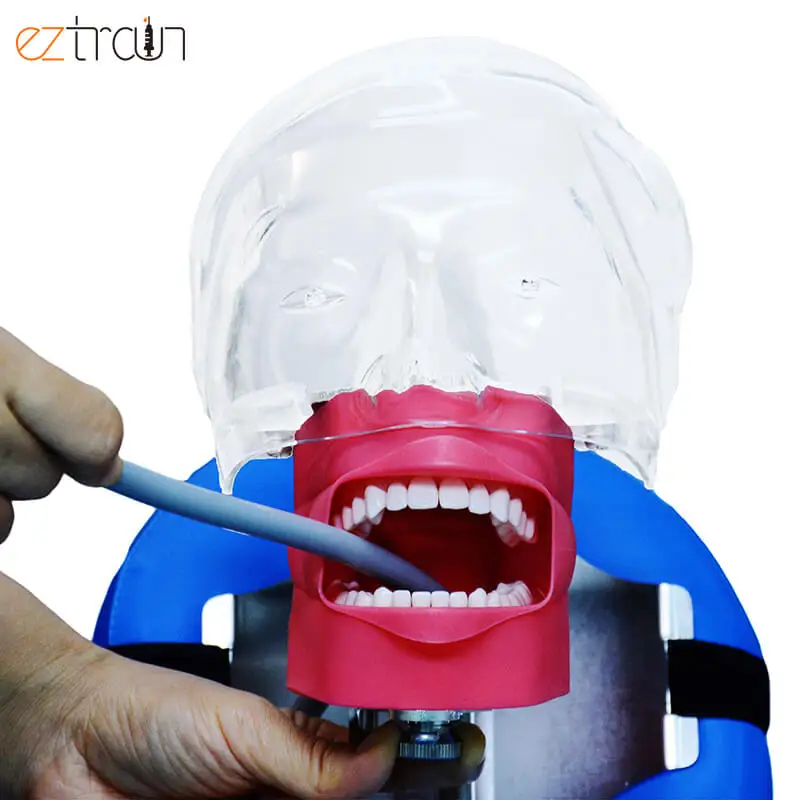 Dental Lab Strap-style Dental Chair Simulator Manikin Typodont Practice Adjustable Phantom Head