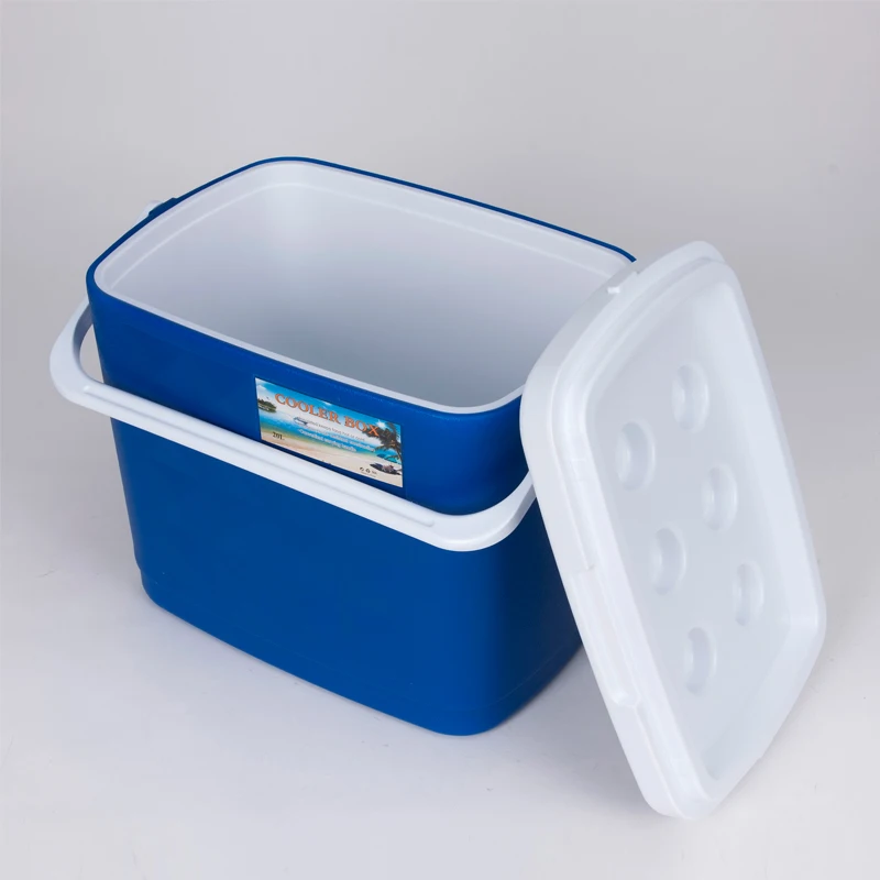 Cooler Small Lightweight Mobile Cooler Camping Lunch Box Food Storage 6 Can Hard Cooler Box