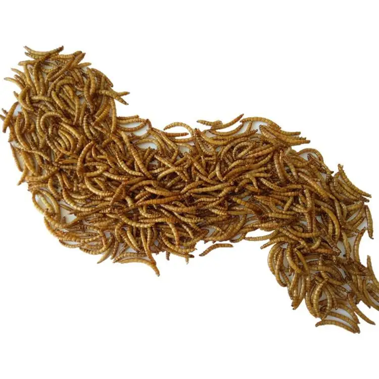 Quality Protein Dried mealworms Animal Feed Best Grade Fish Dog Horse Cattle Chicken Reptile Pig Protein dried worm meal