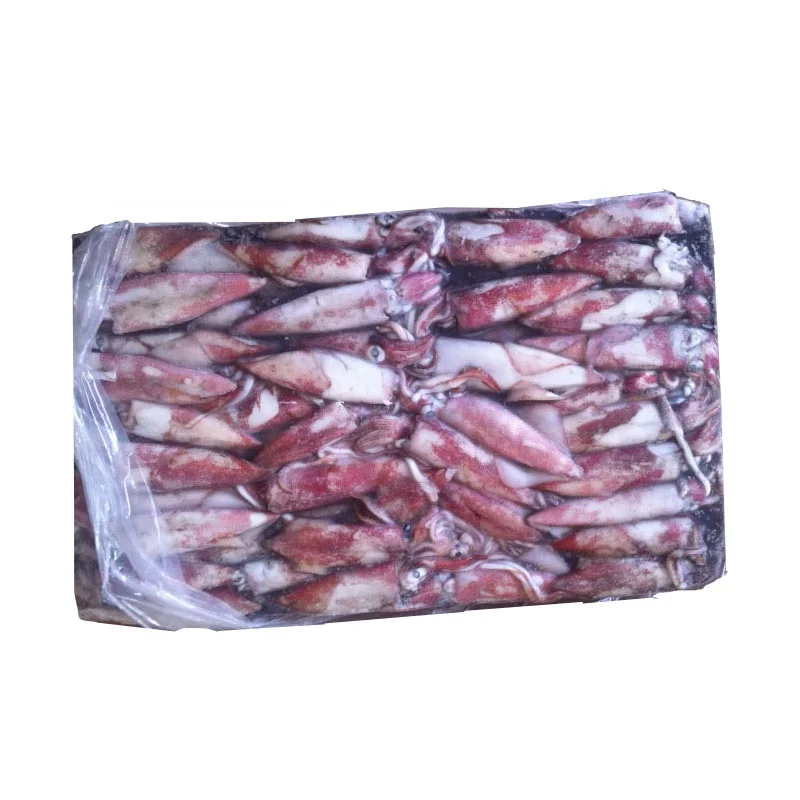 Wholesale Illex Whole Frozen Squid