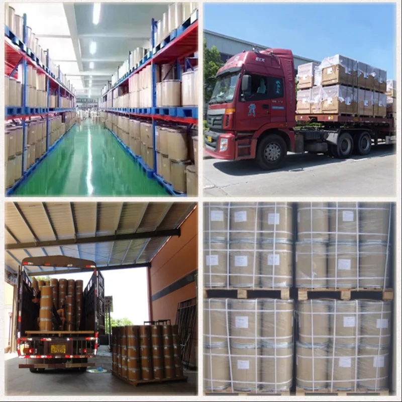 Factory Supply High Quality Pine Bark Extract Powder Pine Bark Extract