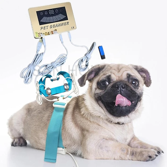 2024  quantum resonance magnetic analyzer pet quantum bio resonance scanner product