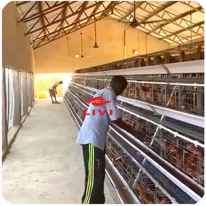 Лучшая продажа ручная клетка для куриного слоя продажи в Южной Африке птицеводство животные