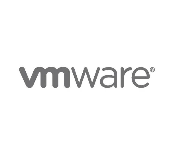 VMware vSphere 7 Standard for 1 processor License VMware vSphere 7 Standard for 1 processor 1Yr Sub