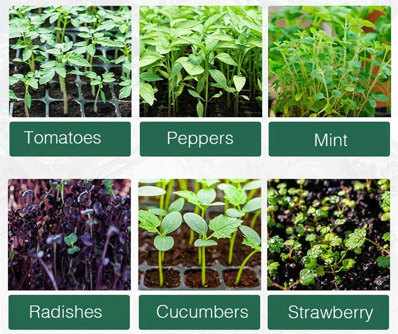 Free samples Hot-selling garden supplies hydroponic plant growing germination plastic seedling pots seed tray nursery trays