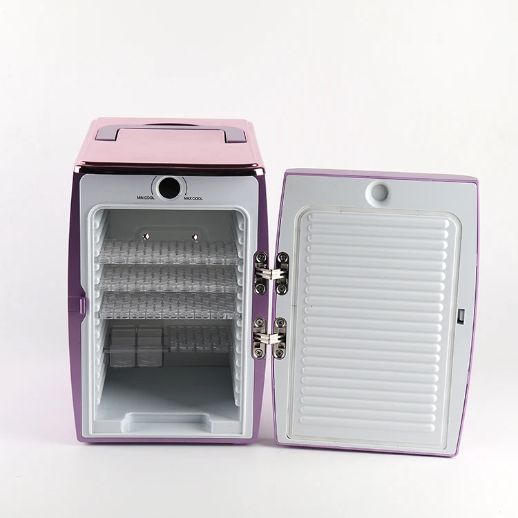 Wholesale Portable 4 Liter 12v Mini Cooler And Warmer Personal Office Refrigerator Mini Cosmetics Fridge For Skin Care Bedroom