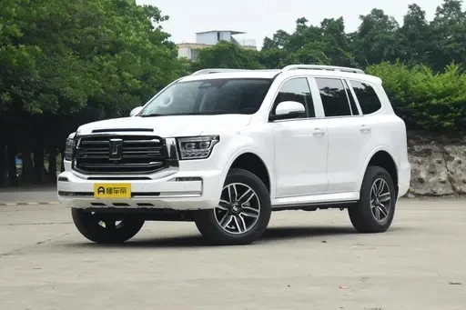 gasline car Tank 500 5 seats 7 seats gasoline 3.0T 48v china manufacturer Best product Hot sale SUV mini car adult