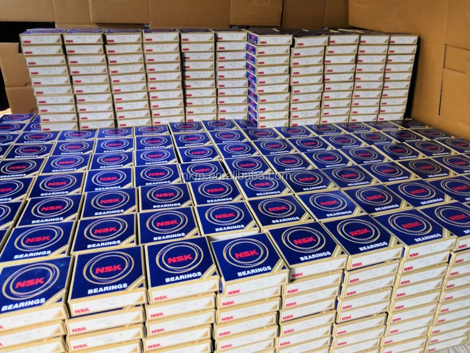 nsk 