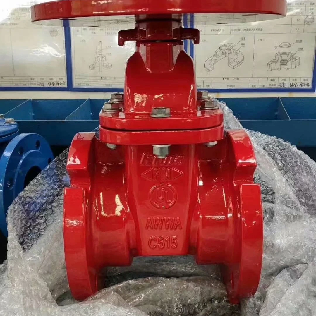
Ductile iron gate valve and Y strainer as per AWWA 