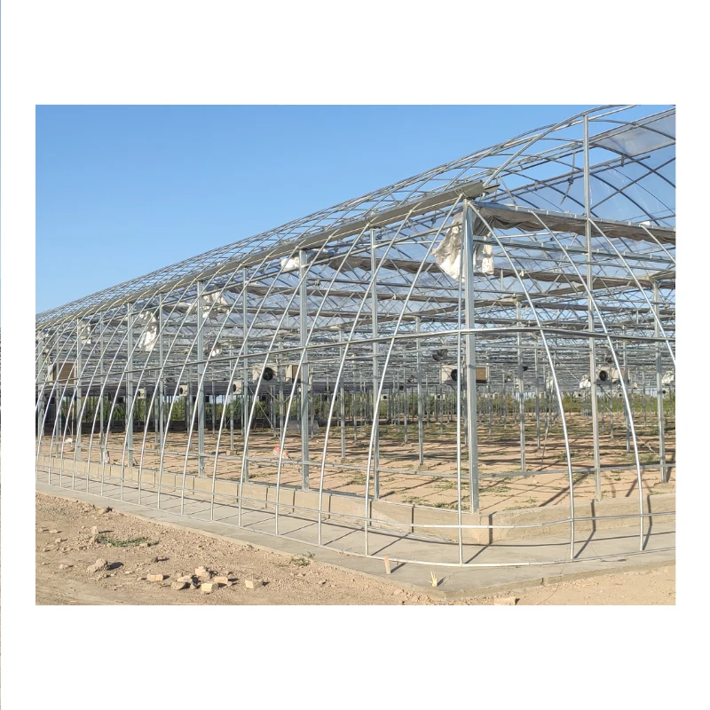 Affordable Greenhouses for All Seasons: Durable and Wind-Resistant