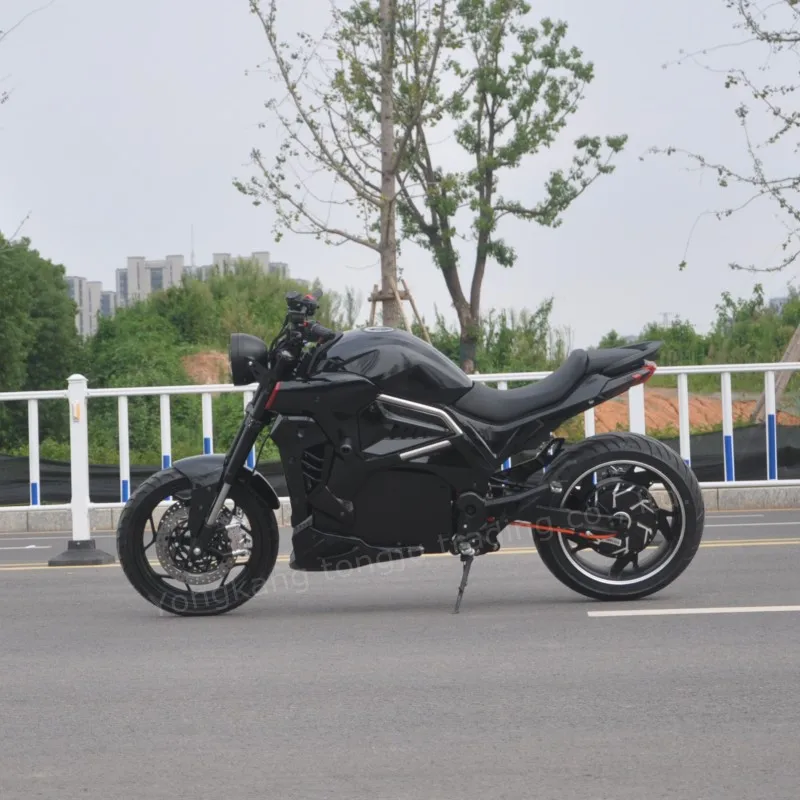 2023 Premium Electric Motorcycle Super Sport Racing Adult Long Range Hydraulic Brakes Motorbike