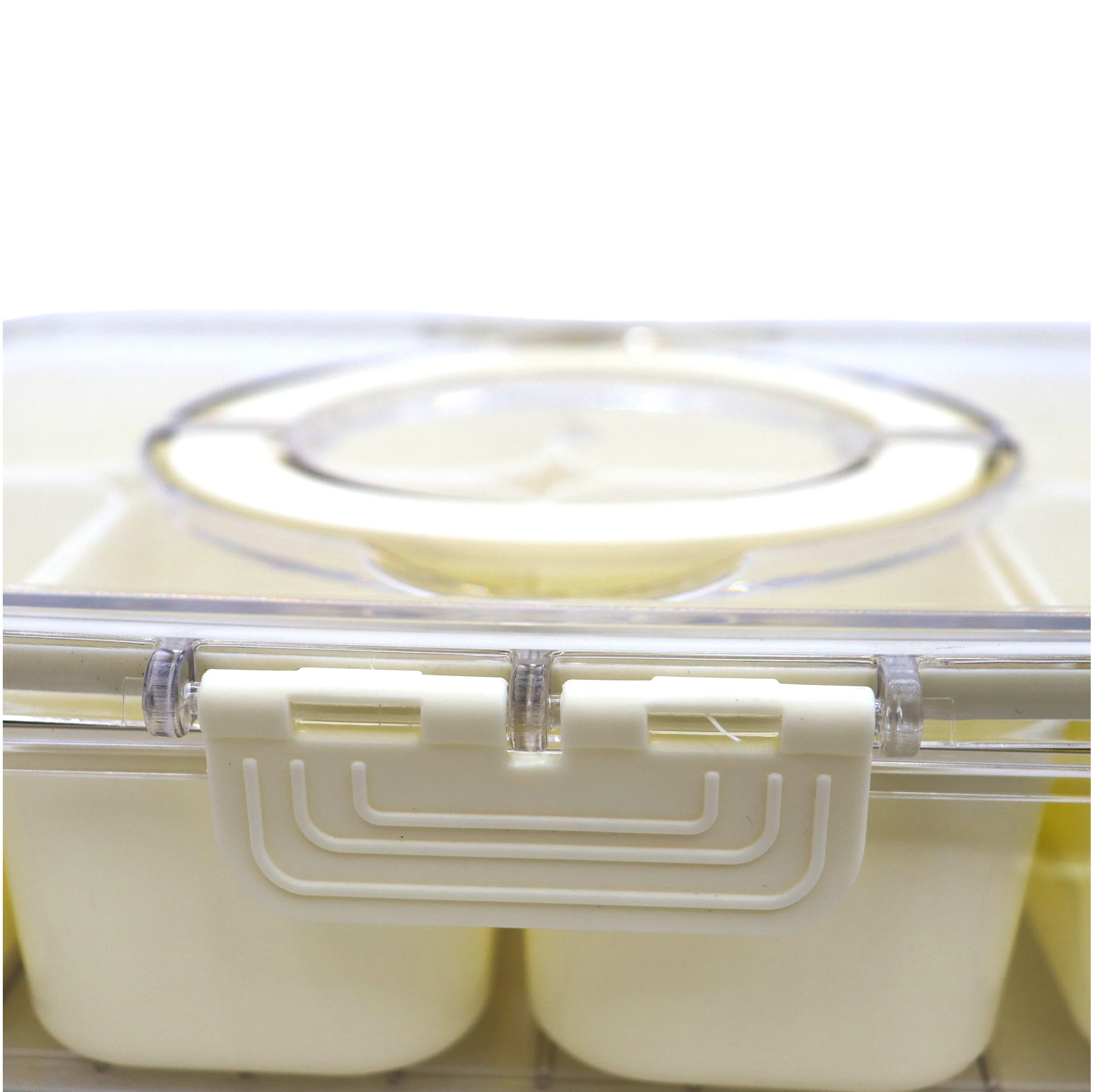 High Quality 2500Ml Big Capacity Food Grade Portable Plastic Lunch Box Food Containers With Handle