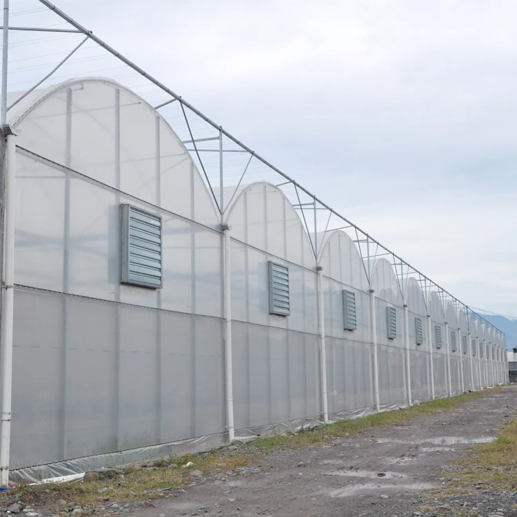 MYXL greenhouse roof exhaust ventilation fan