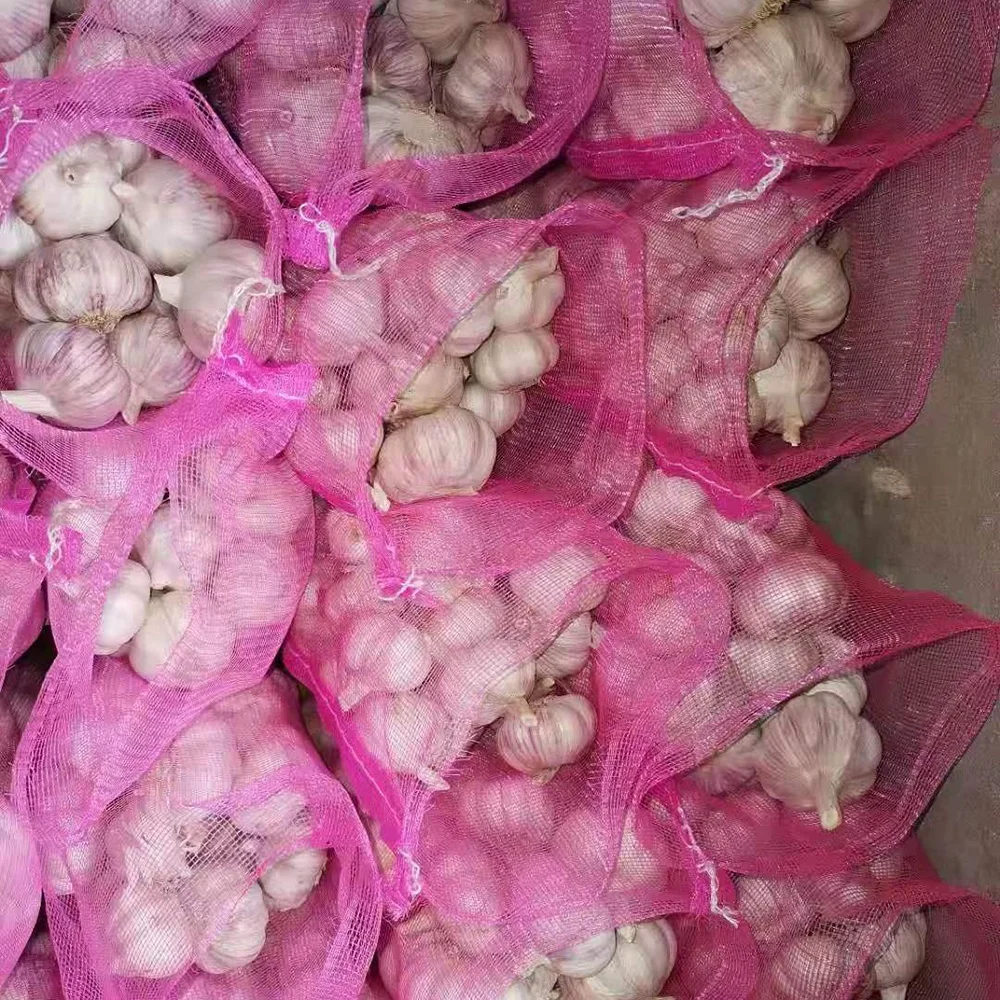 Factory price Chinese fresh pure white garlic