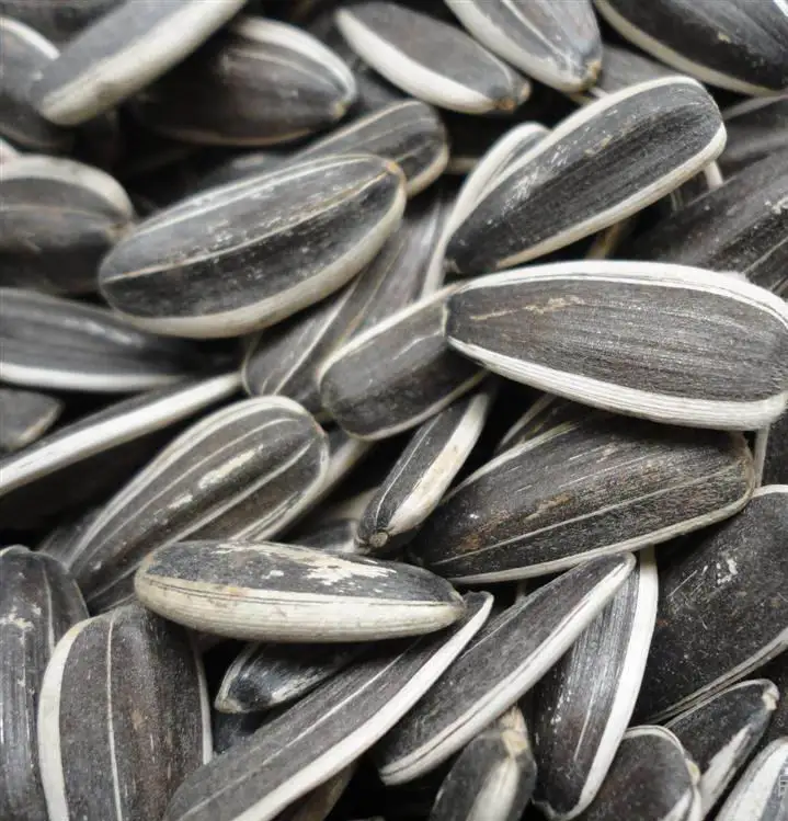 
new crop 2020 different type sunflower seeds 601 