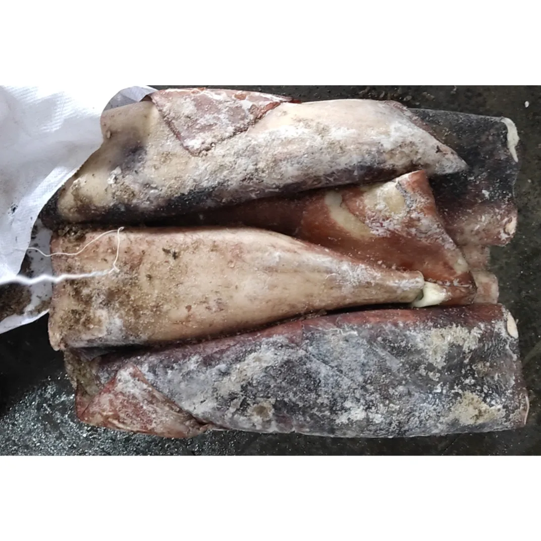 Высококачественный свежий замороженный гигантский кальмар seafrozen, производство Китай