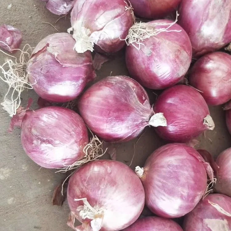 Export Fruits And Vegetables High Quality Healthy Premium Quality Red Onion Exporters In China
