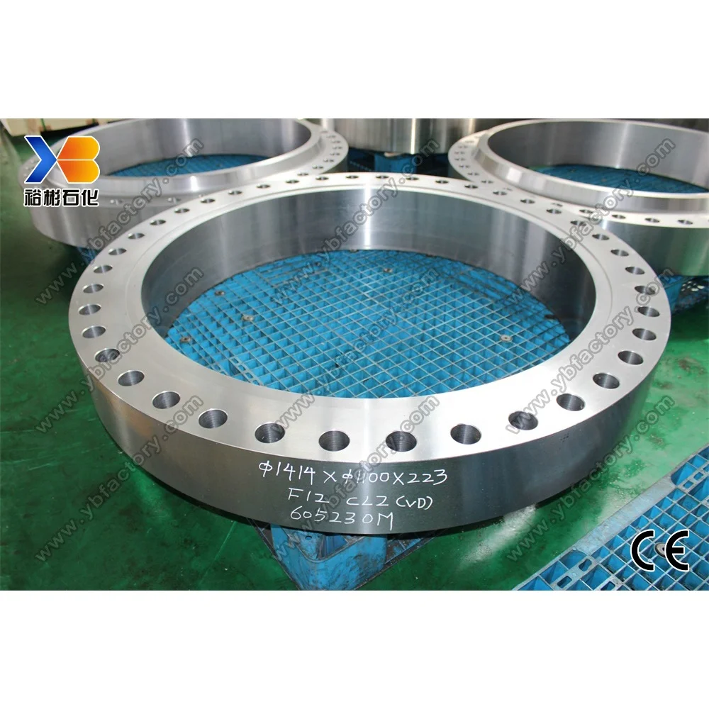 ISO Certificate F12 CL2 Pipe Fittings Large Diameter Customized Precision Forged Plate Flange