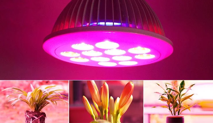 Бесплатный образец 2835 SMD LED, полный спектр, хорошее качество CE ROHS LM-80 для роста растений