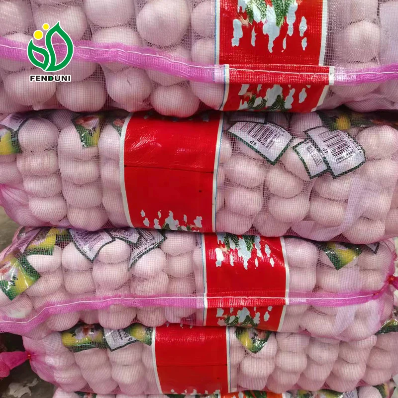 Chinese fresh garlic normal white /red/purple alho fresco ail ajo fresh garlic