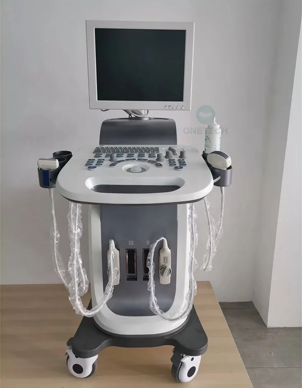 TC15 Mobile Color Doppler Digital Ultrasound 3d 4d Mult Probe Trolly Ultrasound Scanner Echo Ultrasound Machine For Pregnancy