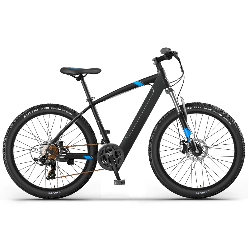 holland city electric bike ladies 350w electric city bike for adults