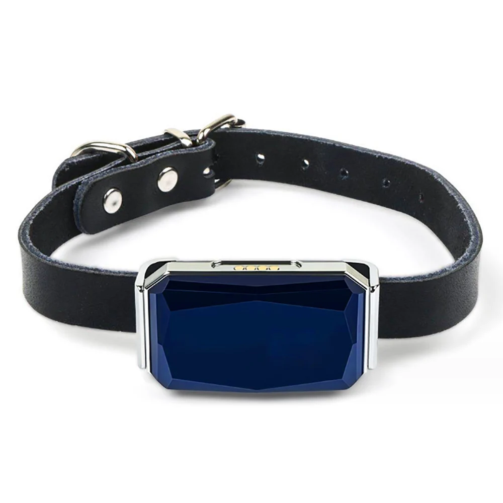 YHpet Real Time Tracking Smart Pet Collar GPS Tracker for Dog Cat