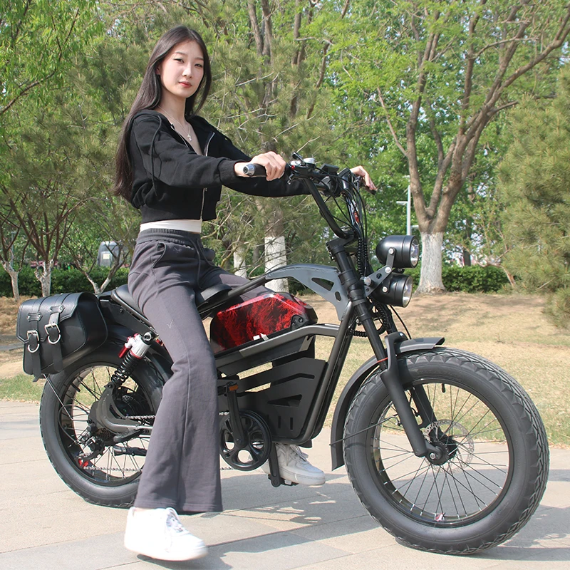 1500w electric sports bike soft-tail double suspension absorbing electrical bicycle electric big bike motorcycle