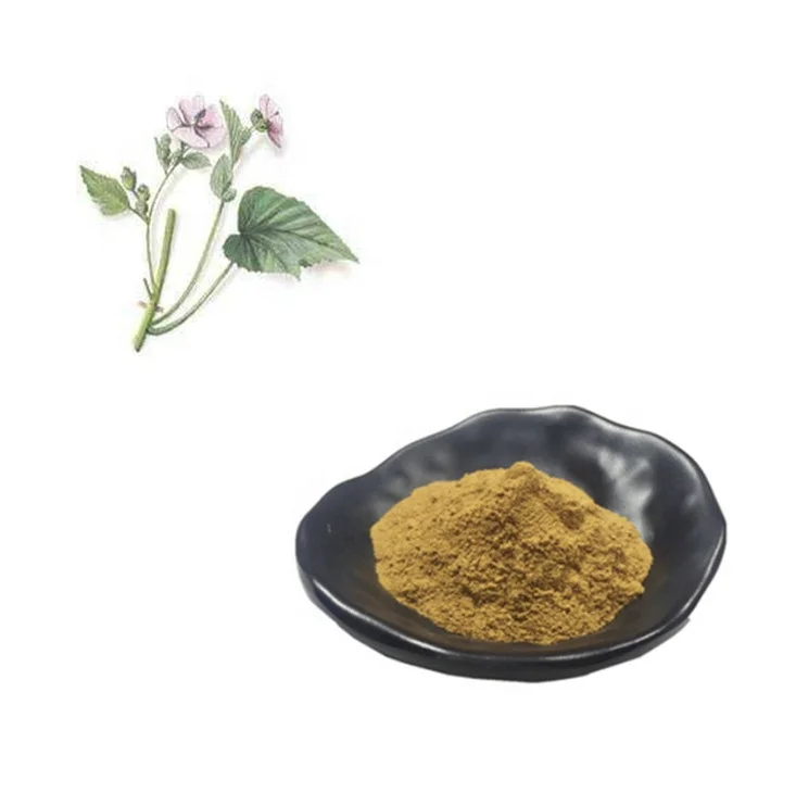 Natural Health Ingredient 10:1 20:1 Marshmallow Root Extract Powder