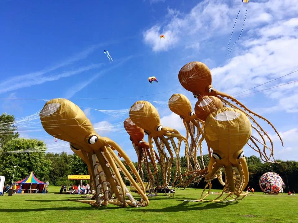 Professional kitesurfing  octopus kite