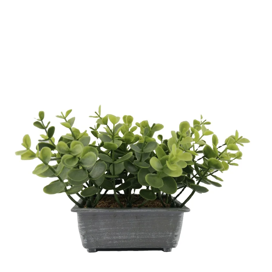 Artificial shrub plant filling indoor and outdoor family artificial money leaf greenery