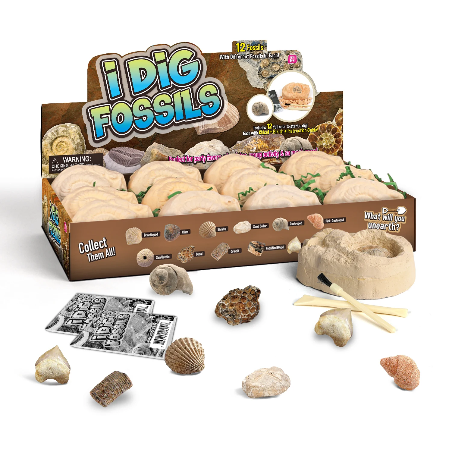 2023 выкапывайте свои морские ракушки набор для раскопок детские игрушки динозавров