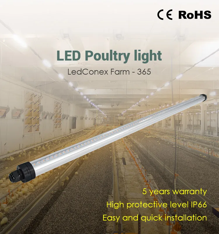 AC100-240V IP65 Farm LED Poultry Light Tube Grow Light for Chicken House