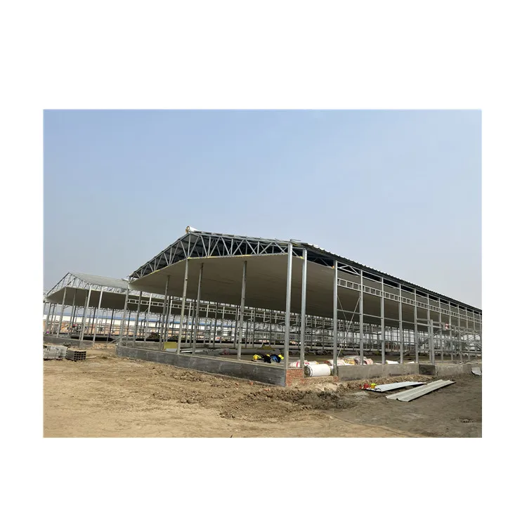 Low cost steel poultry shed broiler poultry farm house design egg chicken house building for layers