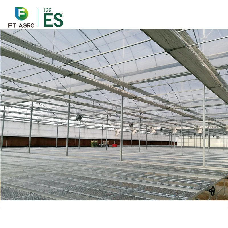 China Good Quality Multi-Span Film Hydroponic System Greenhouse for Strawberry Growing