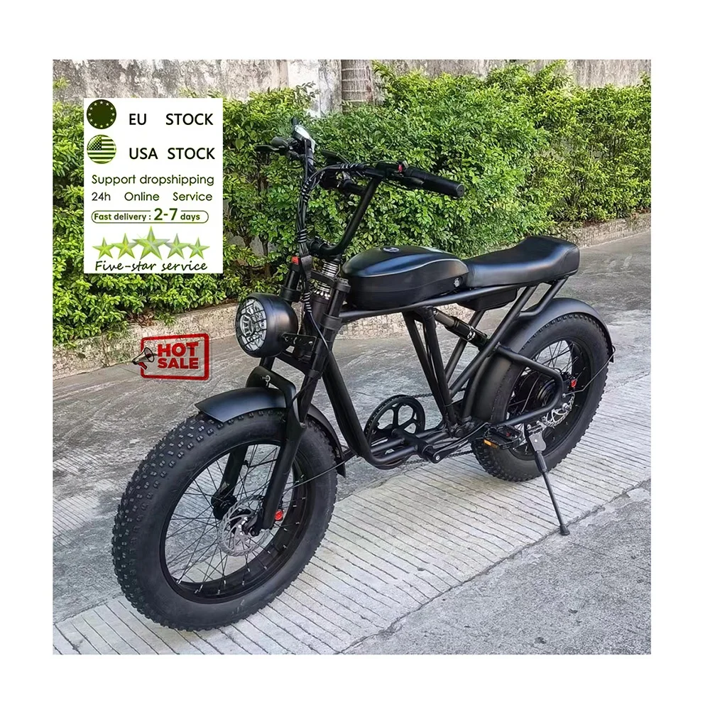 Бесплатная доставка Двойной аккумулятор Fatbike e-bike e bike электрический велосипед NS5 ретро высокой мощности ebike