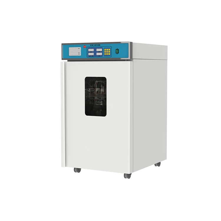 Sterilization equipment Low temperature disinfection equipment (1600387624893)