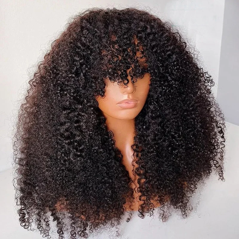 Kinky Curly Wigs 5x5 Lace Closure Front Wigs Human Hair Pre Plucked Brazilian Raw Virgin Hair Glueless Lace Wigs for Woman