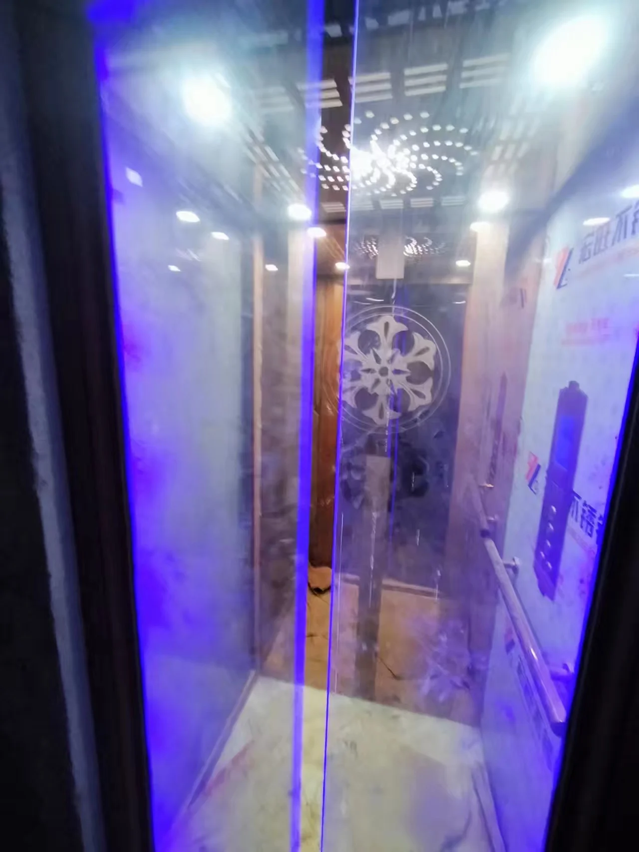 electric cheap pasaenger indoor modern home elevator lift hydraulic home villa elevator with security gear