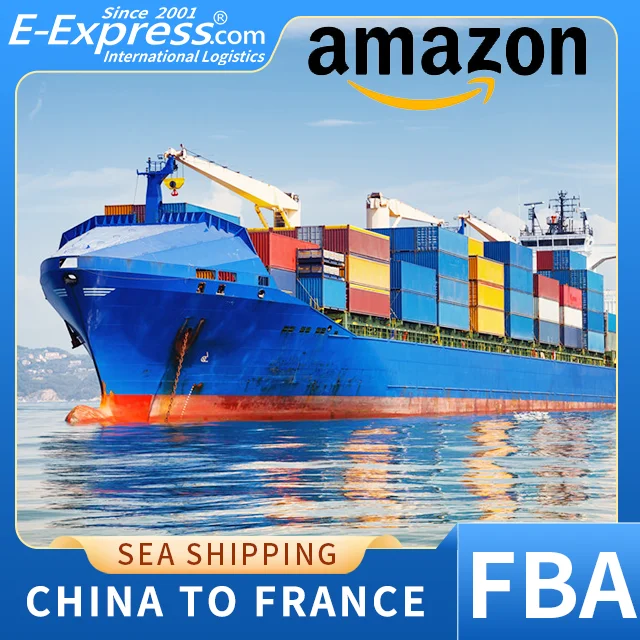 Excellent Ocean Shipping FBA Service From China To France Amazon By DDP With Good Price