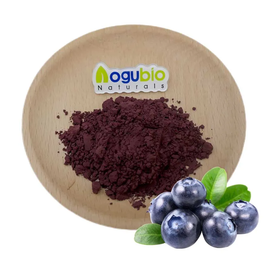 Wholesale Price Organic Natural Anthocyanins 25% Blueberry Extract Powder