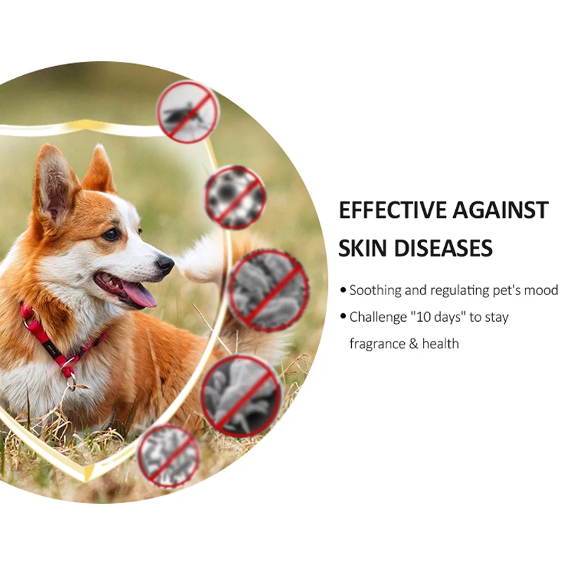 500ml Natural Organic Relieving Dry Itchy Skin Pet Cat Dog Cleaning Grooming 2 in1 Shampoo And Conditioner