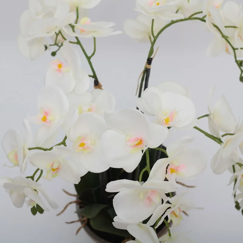 Hot sale high quality faux real touch phalaenopsis Artificial White Phalaenopsis orchid flowers in black ceramic vase