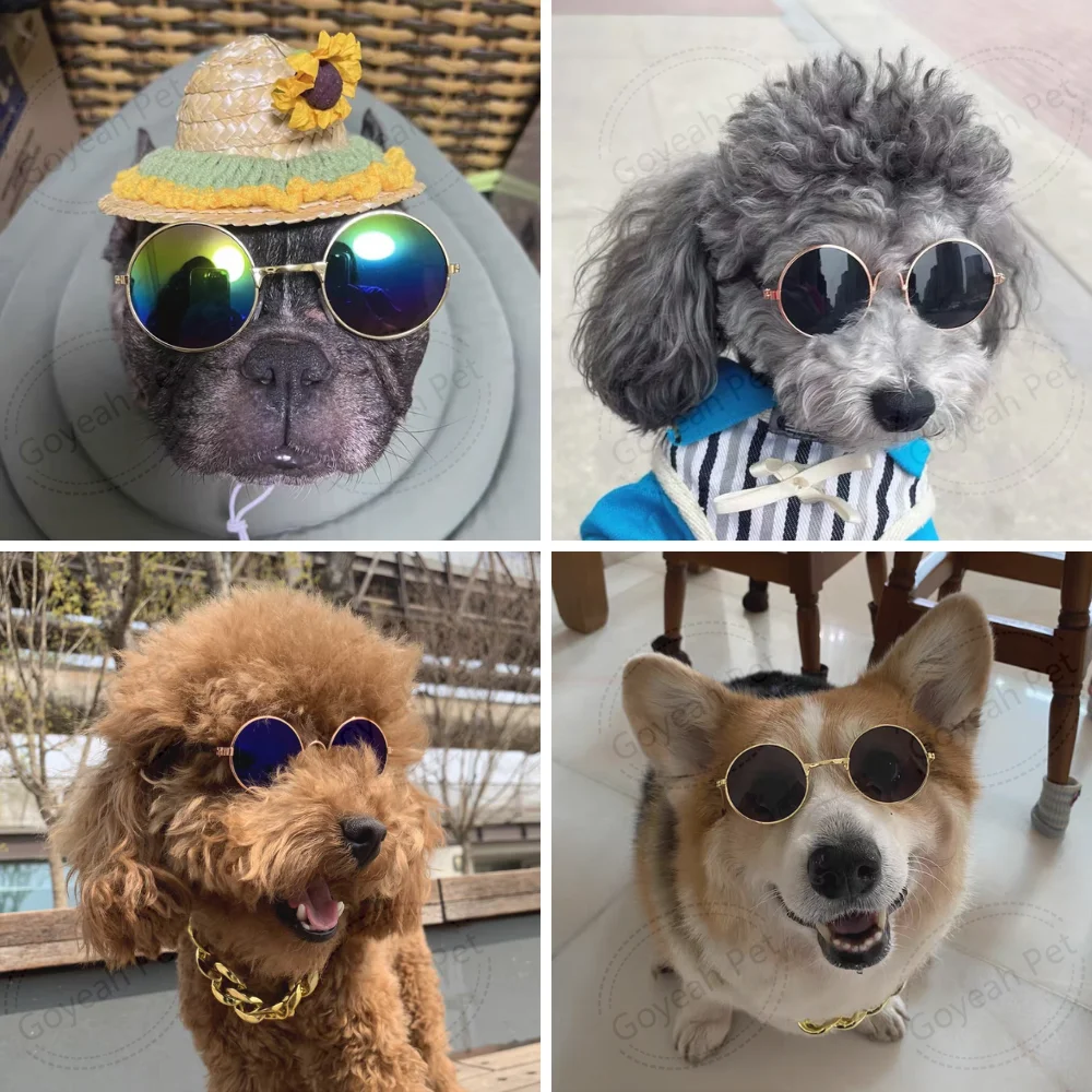 Hot Sale Retro Cat Dog Sunglasses Colorful Pet Cosplay Glasses for Puppy Kitten