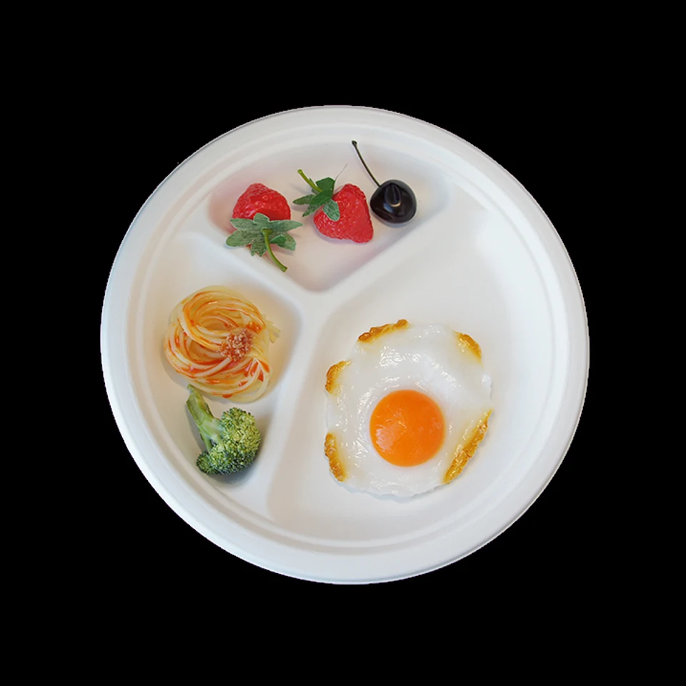 sugarcane pulp bagasse 9 inches biodegradable plates