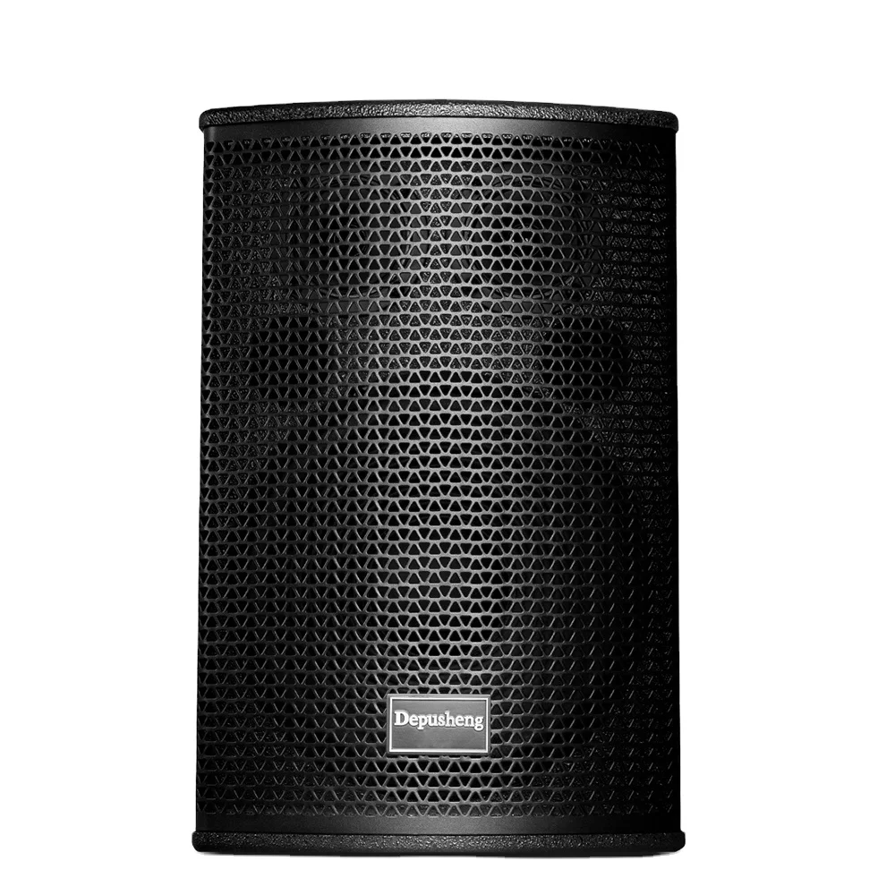 Biner D200 High Quality 10 Inch 100W Professional Audio Sound System Speaker For Family Cinema KTV