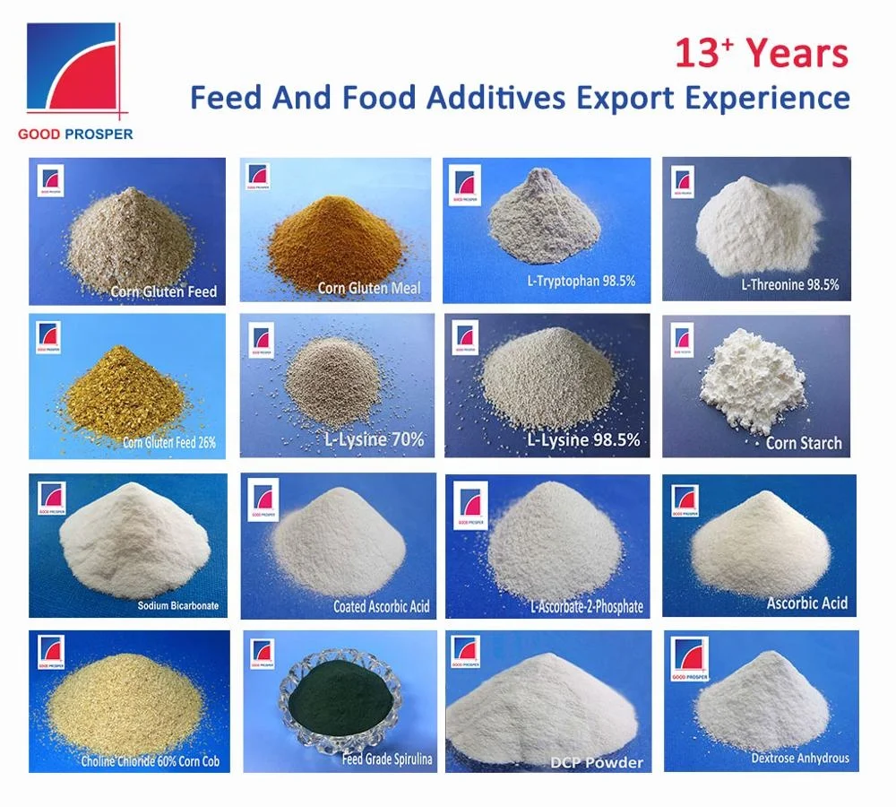 Желтое сушеное Зерно кукурузы для корма животных свиней крупного рогатого скота Лошадиная рыба богатая белком кукурузная глютеновая мука