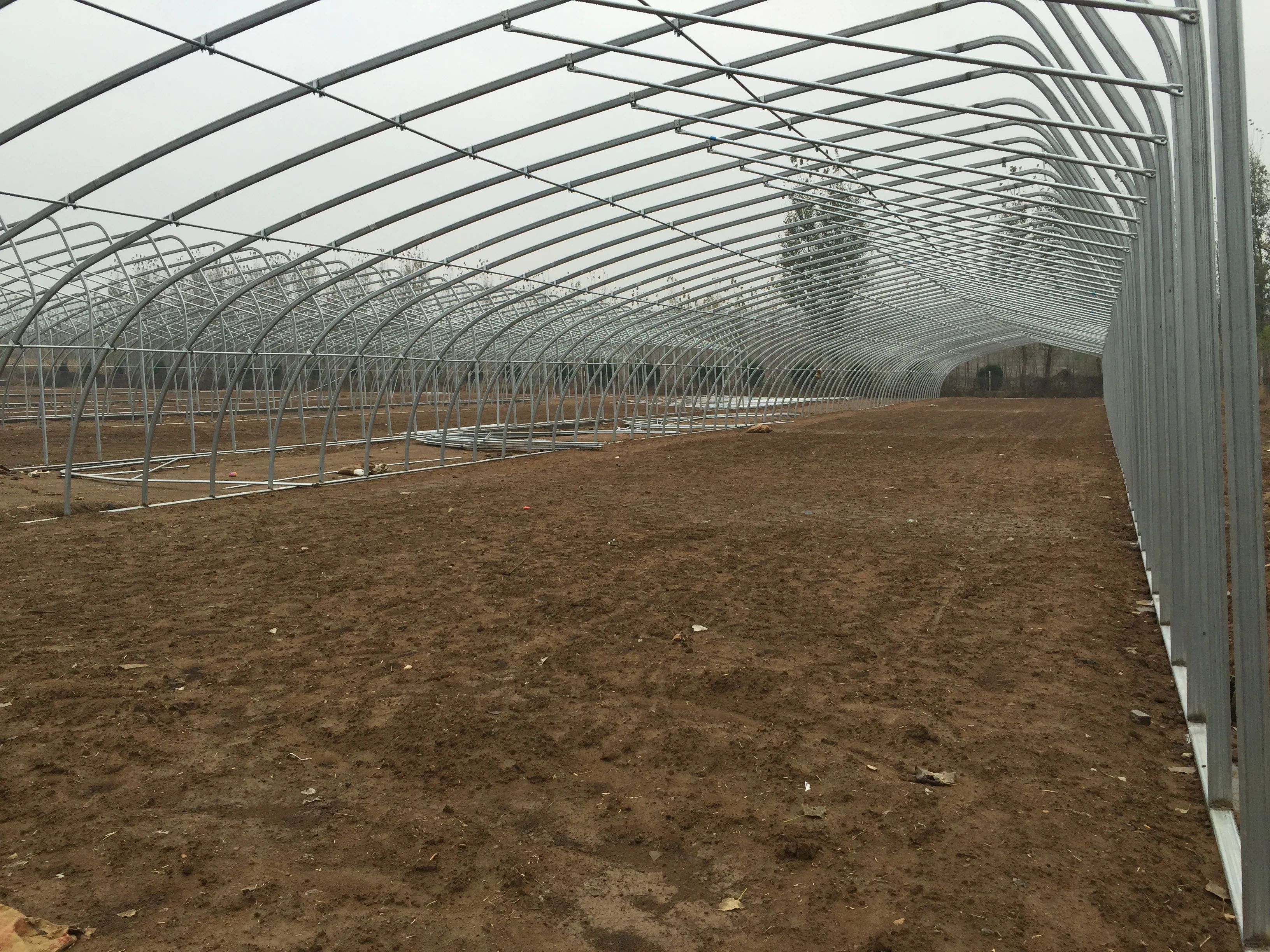 Winter Solar Greenhouse Kits Transparent Film Large Heavy Duty Greenhouse Glass Vegetable Fruits Flowers Large Green House 3-10m