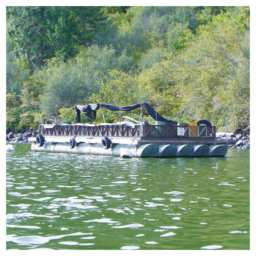 Contains vitamin mineral enzyme suplyment premium blue spirulina tablets